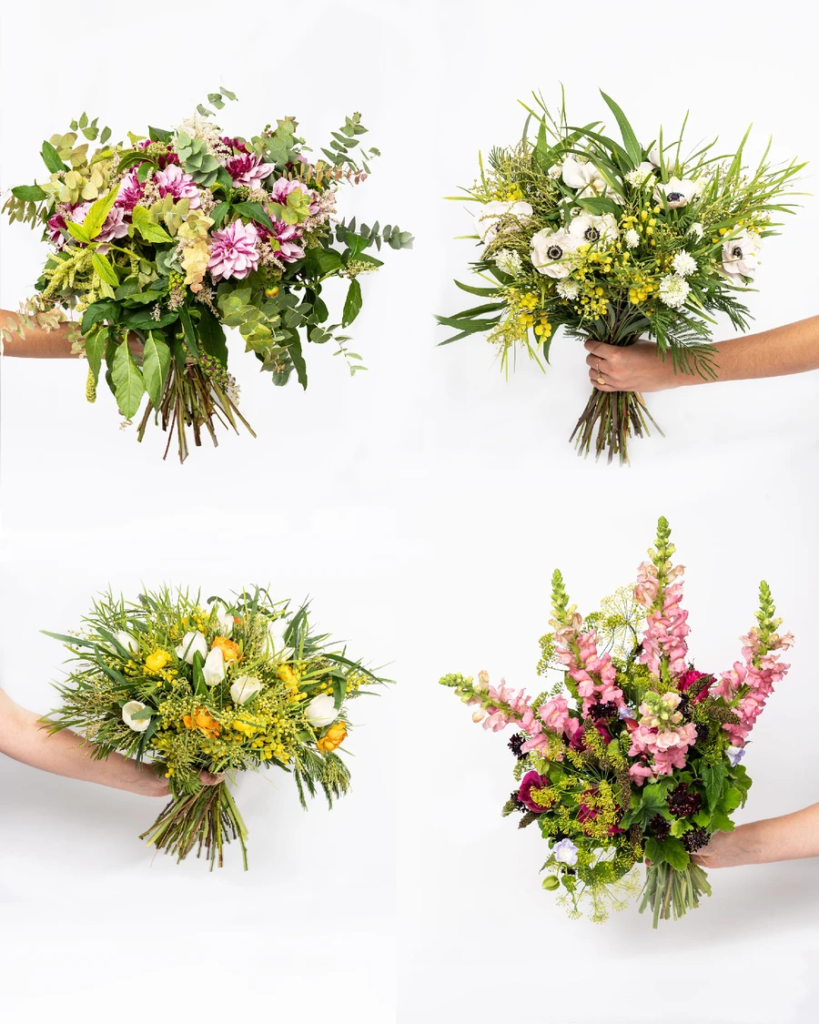 Fleurs d'Ici